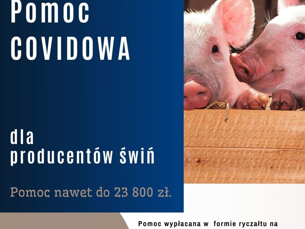 Broszura - informacja o planowanym naborze wniosków dla producentów trzody chlewnej