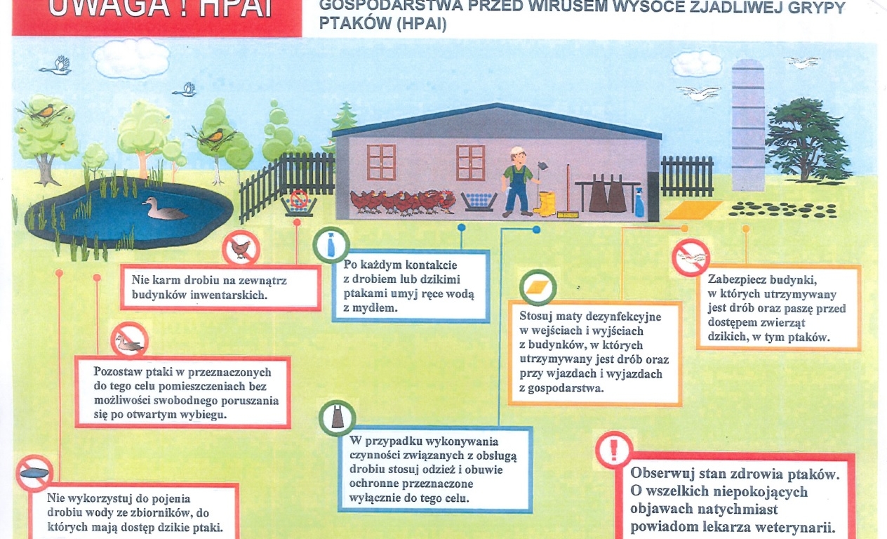 PLAKAT - KOMUNIKAT POWIATOWEGO INSPEKTORA WETERYNARII W LESKU DOTYCZĄCY PTASIEJ GRYPY